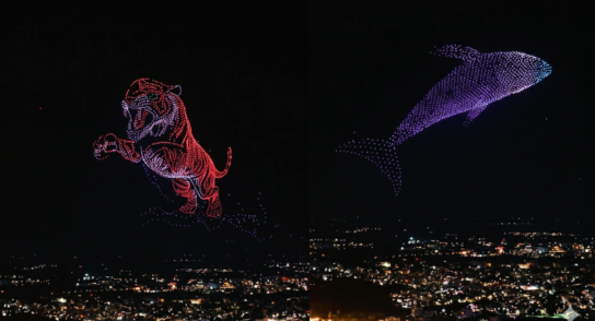 Drone Show